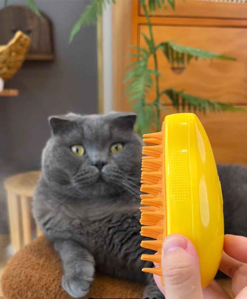 Cat Grooming Comb with Steam / Spray Water - YourCatNeeds