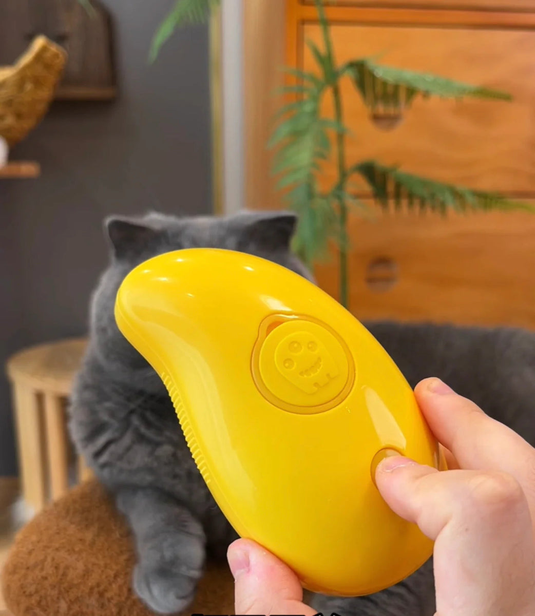 Cat Grooming Comb with Steam / Spray Water - YourCatNeeds